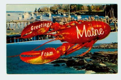 Maine Lobster Postcard