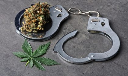 Cannabis bud and leaf with handcuffs